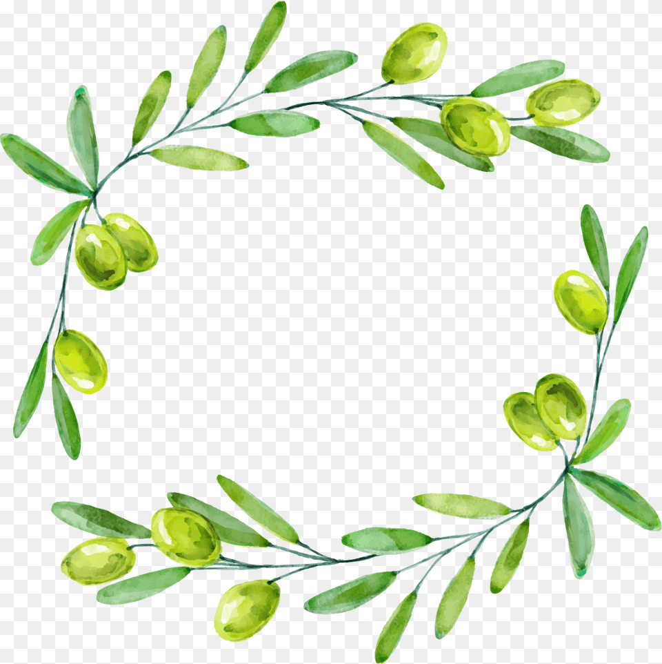 Olive Leaf Border Border Olive Branch Design, Herbal, Herbs, Plant, Art Png Image