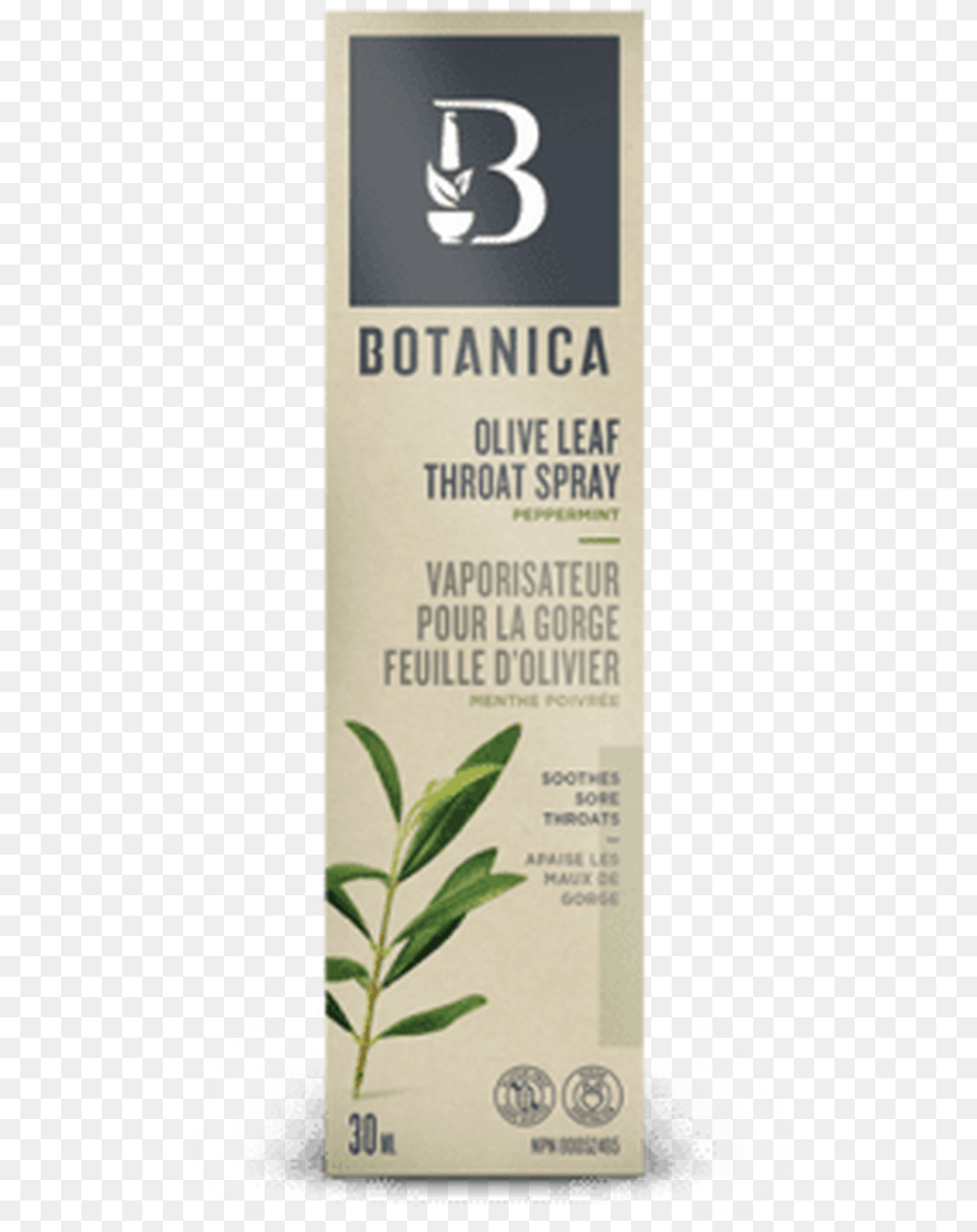 Olive Leaf Extract Canada, Herbal, Herbs, Plant Png