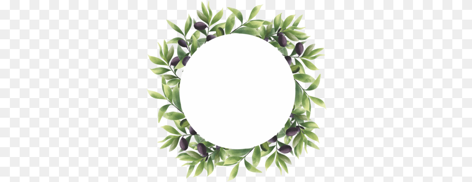 Olive Leaf Frame In A Watercolor Style Download Olive Leaf Vector, Oval, Photography, Mirror Free Transparent Png