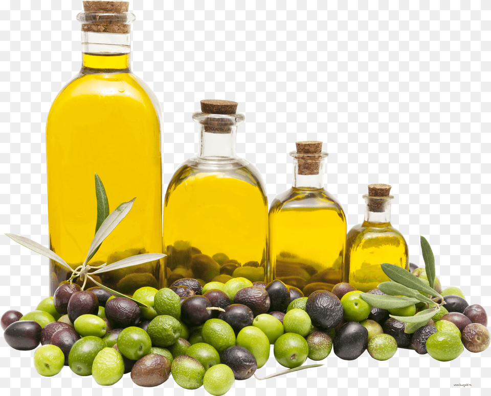 Olive Oil Free Png Download