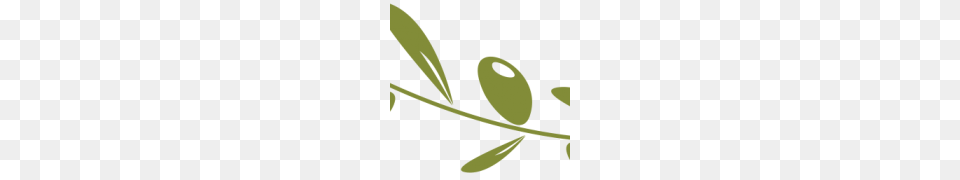 Olive Oil Clipart, Leaf, Plant, Tree, Herbal Free Png