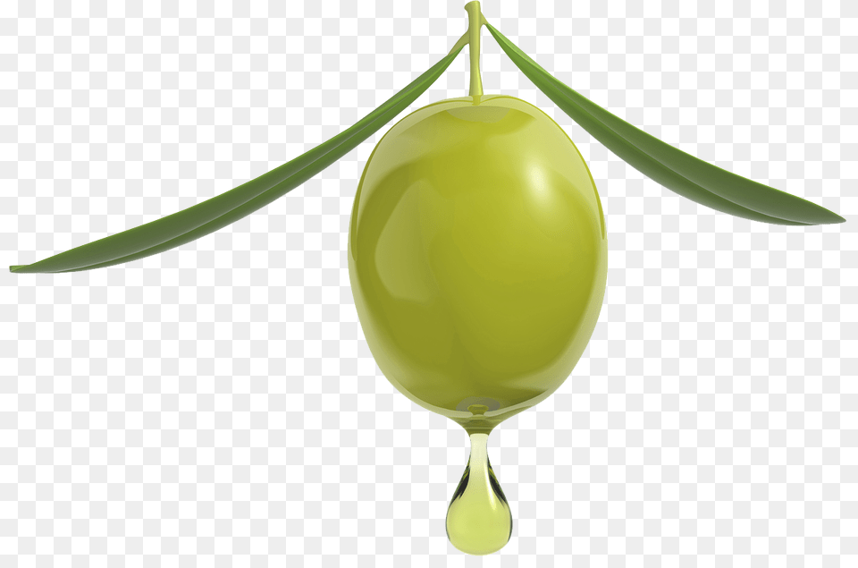 Olive Oil Olive Oil, Leaf, Plant, Food, Fruit Free Png