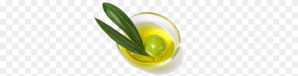 Olive Oil Pic, Leaf, Plant, Beverage, Green Tea Free Png Download
