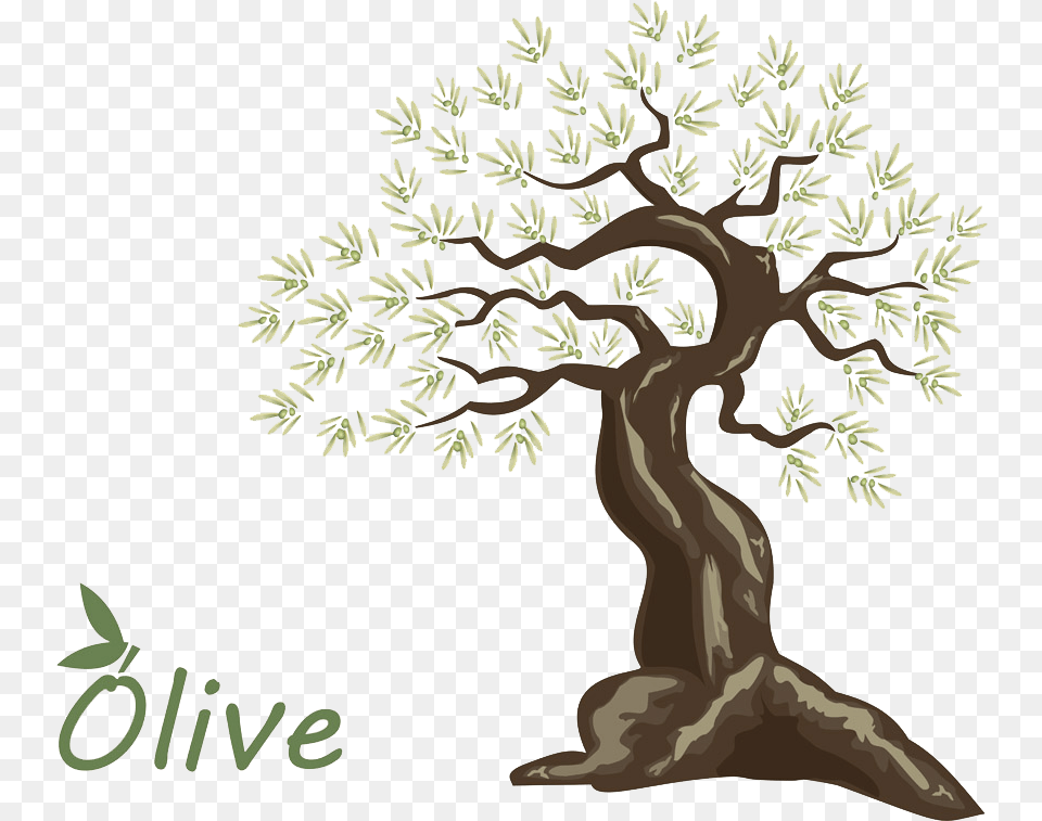 Olive Oil Tree Handpainted Olive Arbol De Olivo Para En Dibujo, Plant, Art, Potted Plant, Vegetation Free Png Download