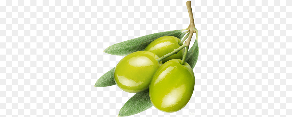 Olive Olive, Food, Fruit, Plant, Produce Png Image