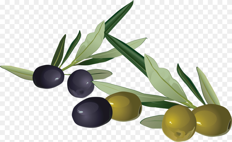 Olive Olives Clipart, Produce, Plant, Fruit, Food Free Transparent Png