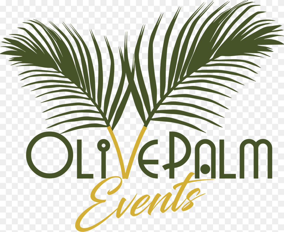 Olive Palm Olive And Palm Logo, Leaf, Palm Tree, Plant, Tree Png