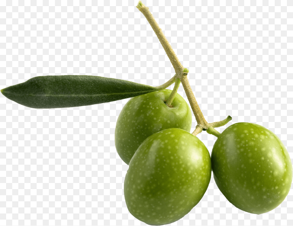 Olive Pic All Olive Fruit, Apple, Food, Leaf, Plant Png