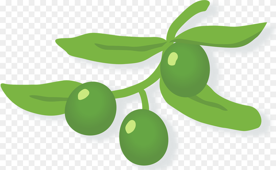 Olive Plant Clipart, Citrus Fruit, Food, Fruit, Produce Free Transparent Png