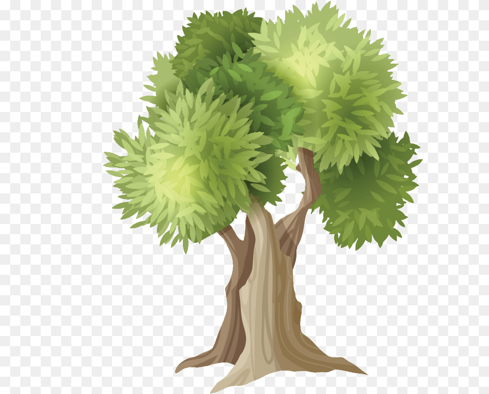 Olive Roads Home Clip Art, Conifer, Tree, Vegetation, Plant Free Png Download