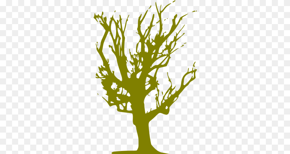 Olive Tree 72 Icon Free Olive Tree Icons Blacked Out Tree, Plant, Potted Plant, Person Png