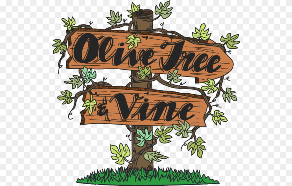 Olive Tree And Vine Logo Olive Tree And Vine Cartersville, Plant, Potted Plant, Vegetation, Conifer Free Png Download