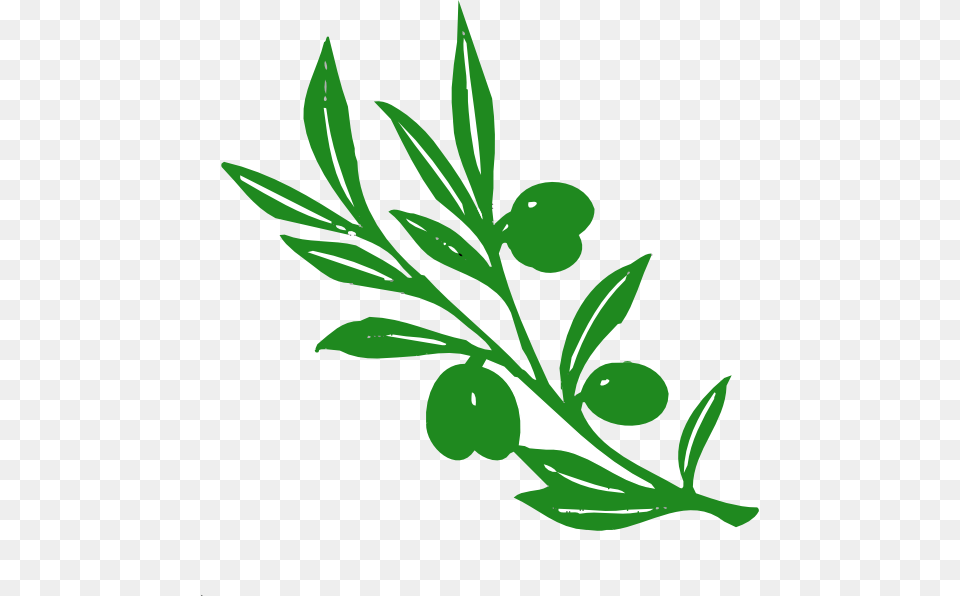 Olive Tree Branch Clip Art, Graphics, Green, Herbal, Herbs Free Png Download