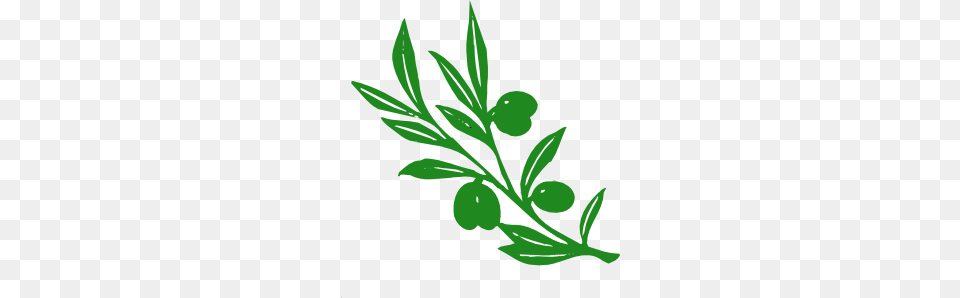 Olive Tree Branch Clip Art, Green, Herbal, Herbs, Leaf Png Image
