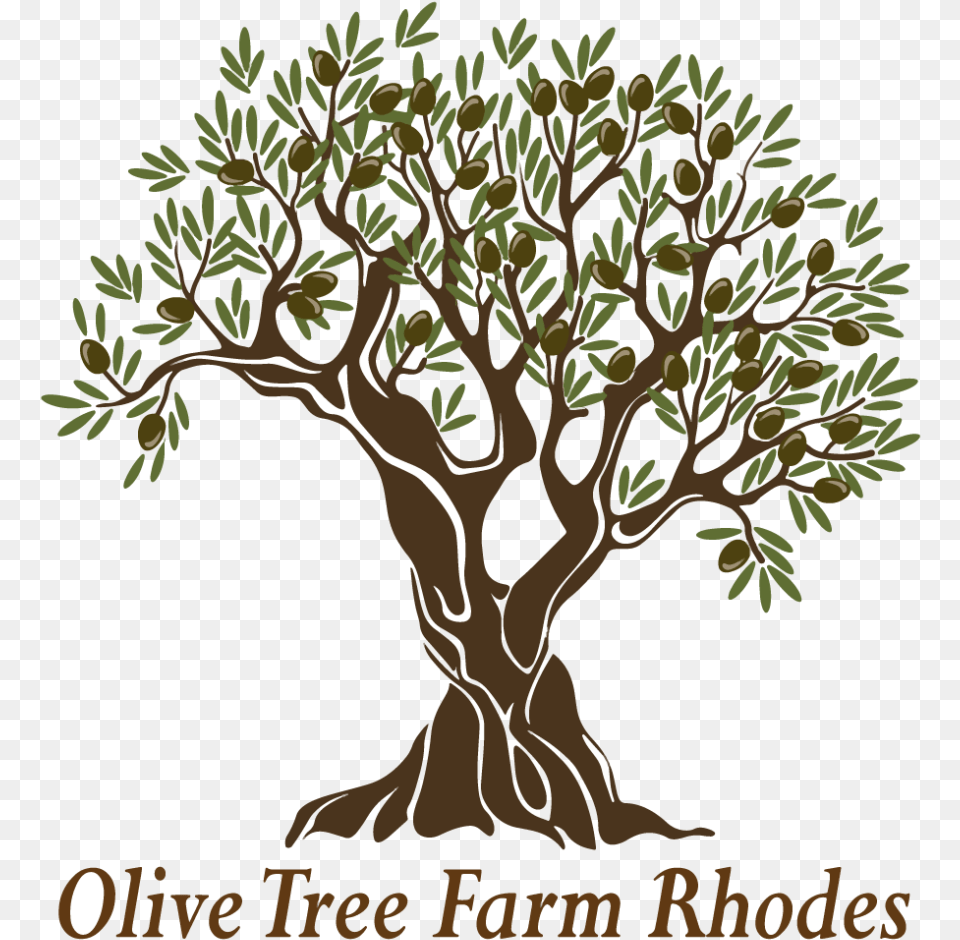 Olive Tree Farm Greek Olive Tree, Plant, Potted Plant, Vegetation, Tree Trunk Png