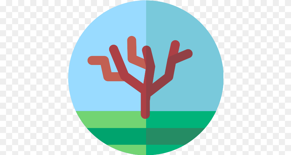 Olive Tree Icon Emblem Png
