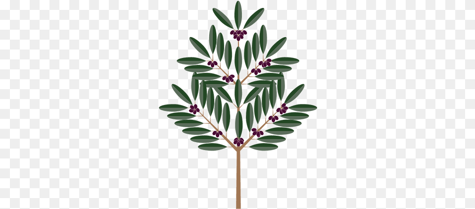 Olive Tree Illustration, Flower, Leaf, Plant, Herbal Free Transparent Png