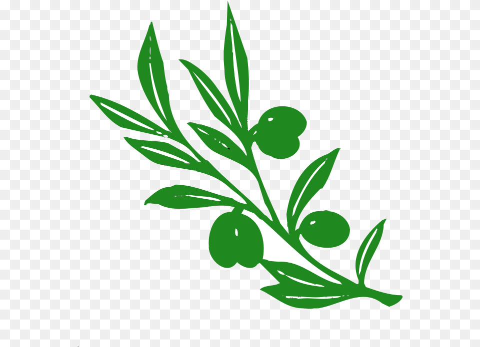 Olive Tree Nature Olive Tree Athena Symbol, Art, Graphics, Green, Herbal Free Png
