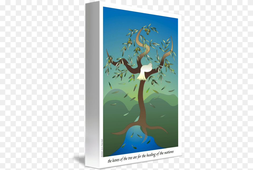 Olive Tree Of Life Poster By Ann Randall Illustration, Plant, Art, Painting, Vegetation Free Png Download