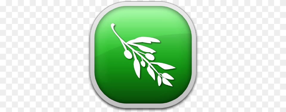Olive Video Editor Logo Olive Video Editor Logo, Plant, Leaf, Herbs, Herbal Png Image