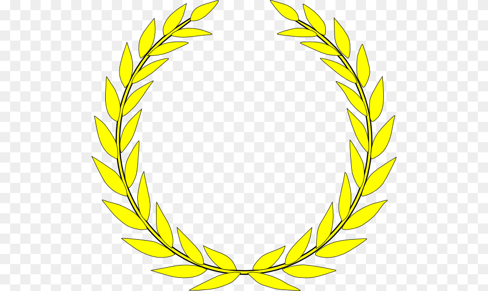 Olive Wreath, Oval, Plant Png Image