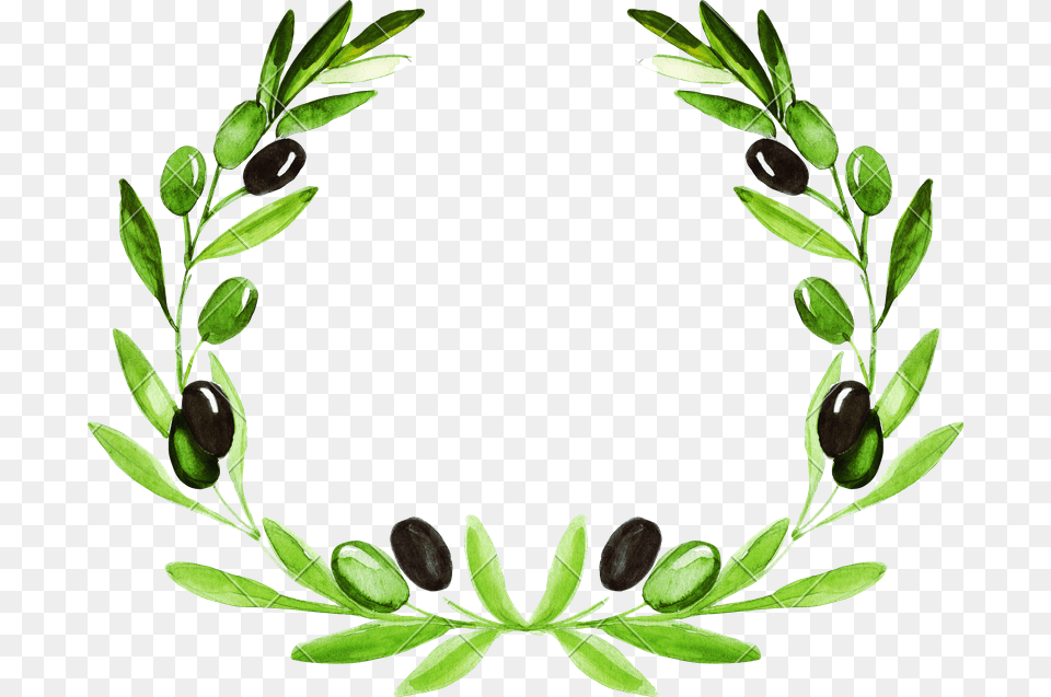 Olive Wreath Background, Leaf, Plant, Flower, Accessories Free Png Download