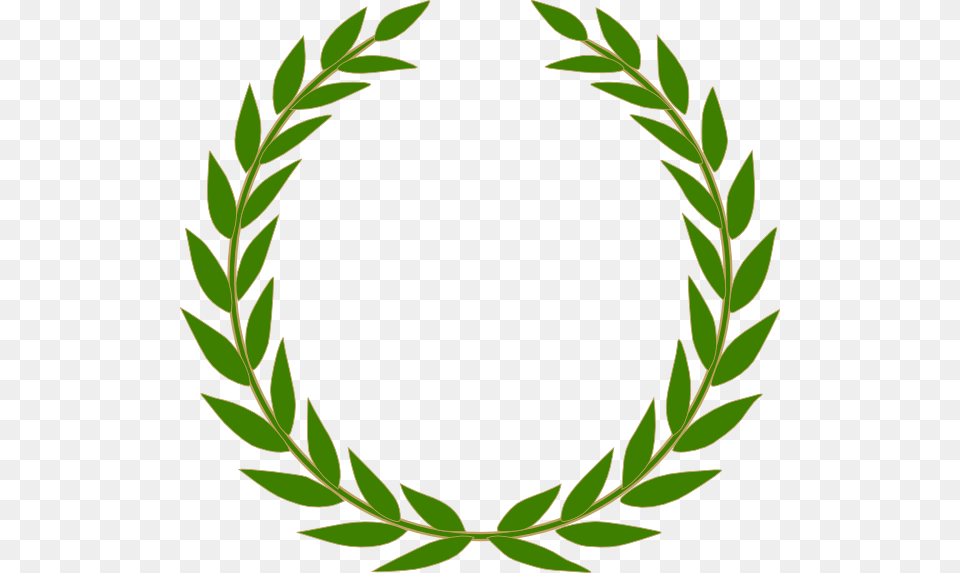 Olive Wreath Clip Art, Herbal, Herbs, Leaf, Plant Free Png Download