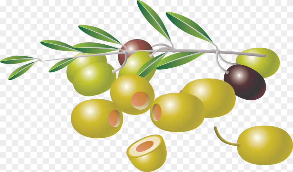 Olives, Food, Fruit, Plant, Produce Png