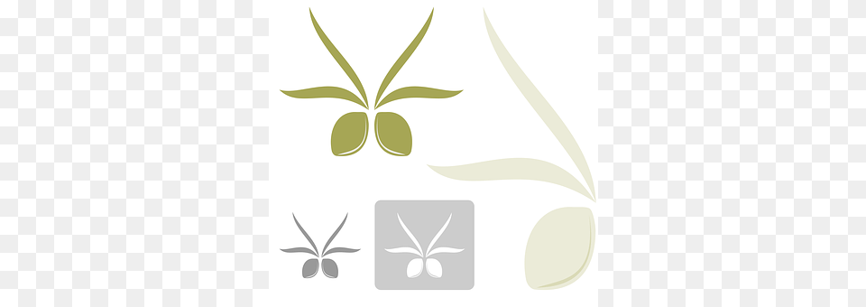 Olives Art, Floral Design, Graphics, Herbal Free Transparent Png