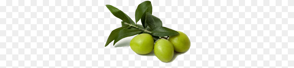 Olives, Citrus Fruit, Food, Fruit, Plant Png Image
