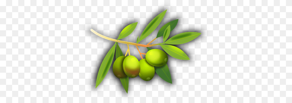 Olives Food, Fruit, Leaf, Plant Png Image