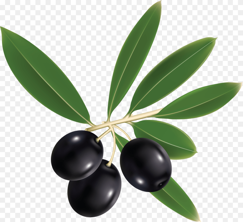 Olives, Produce, Plant, Leaf, Fruit Free Transparent Png