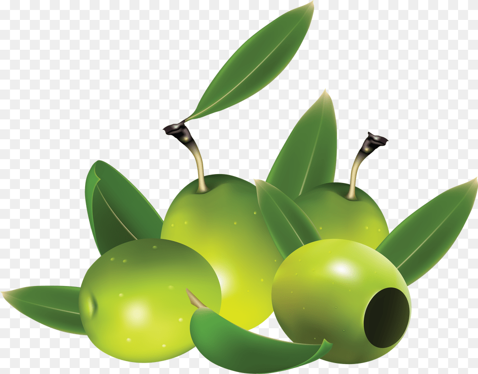 Olives, Green, Leaf, Plant, Food Free Png Download
