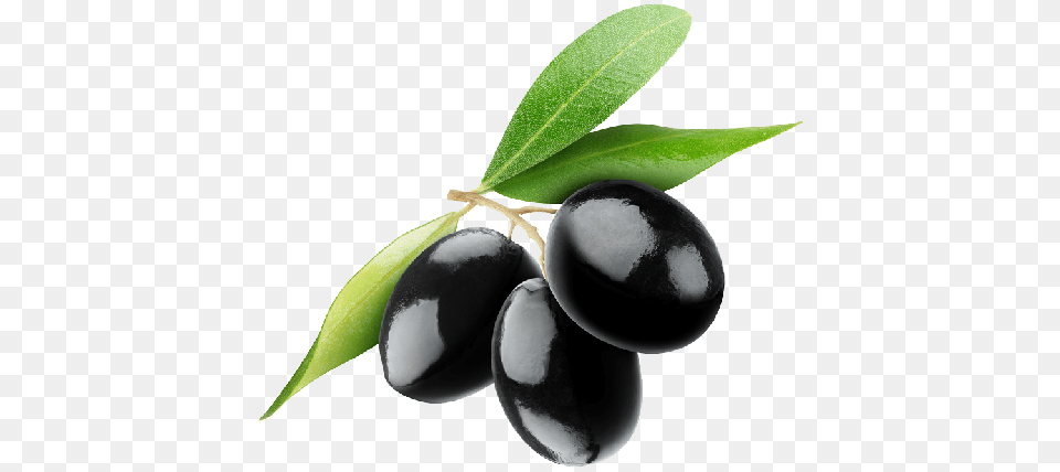 Olives, Food, Fruit, Leaf, Plant Free Png