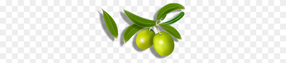 Olives, Food, Fruit, Leaf, Plant Free Transparent Png