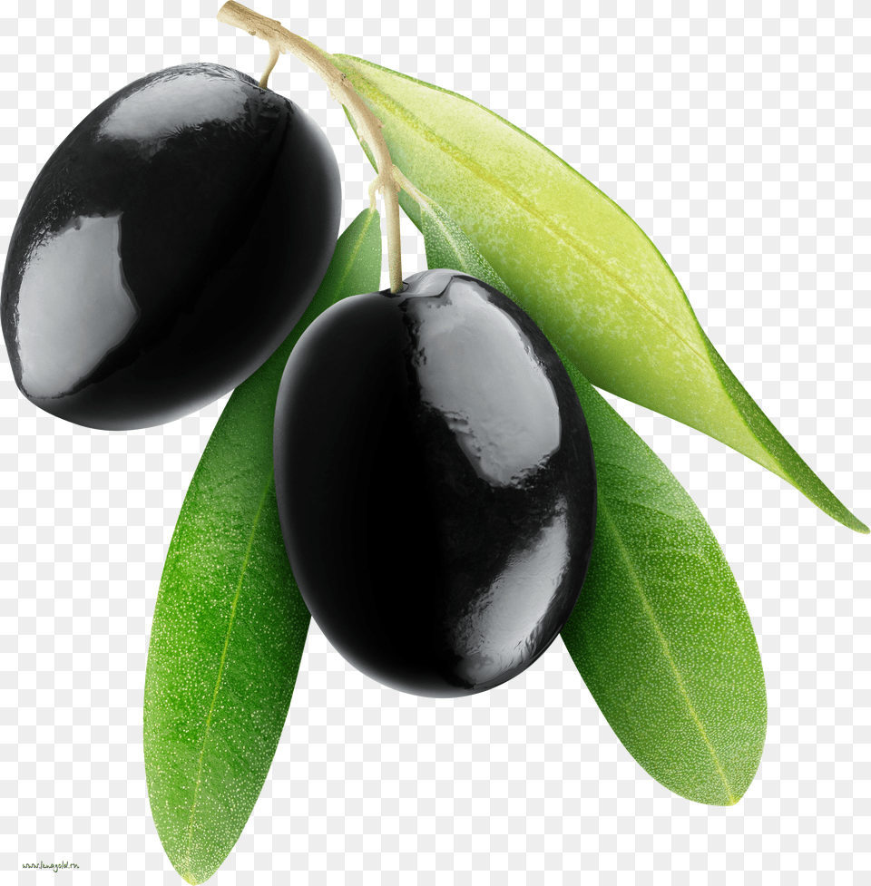 Olives Free Png