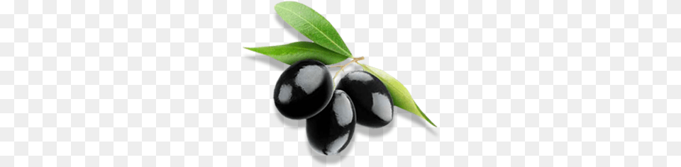 Olives, Fruit, Produce, Plant, Food Free Png Download