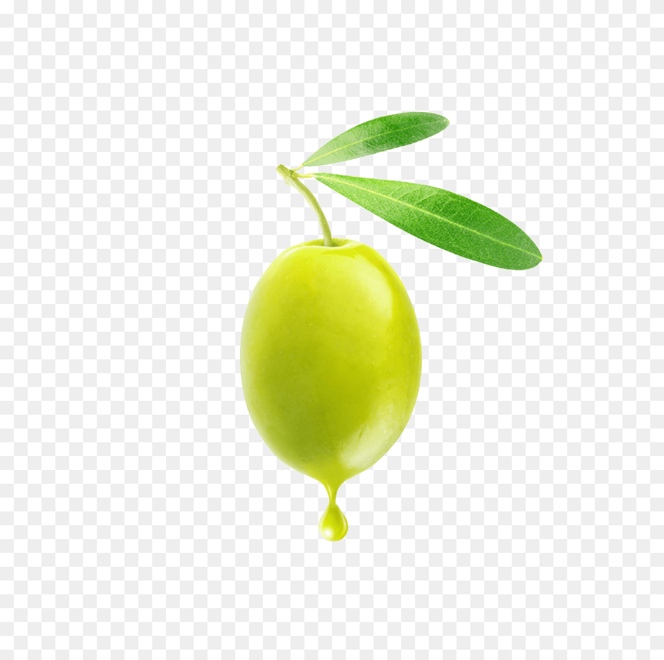 Olives, Leaf, Plant, Food, Fruit Free Png Download