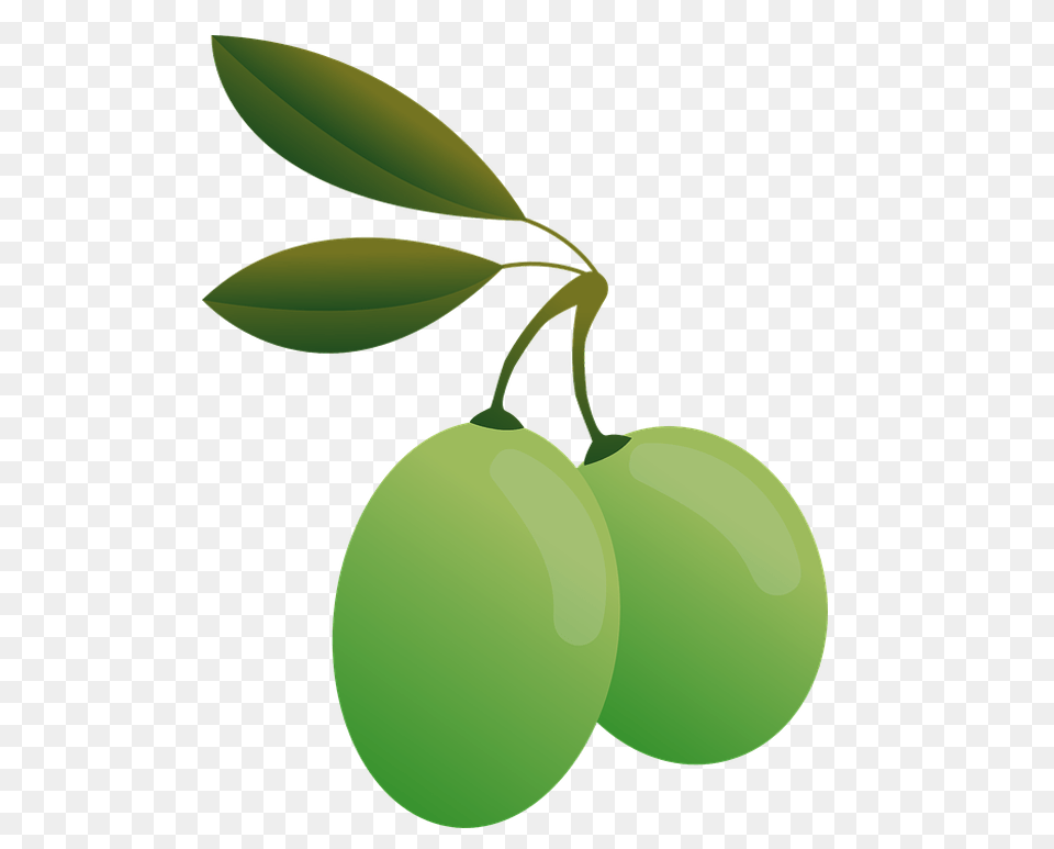 Olives, Food, Fruit, Leaf, Plant Free Transparent Png