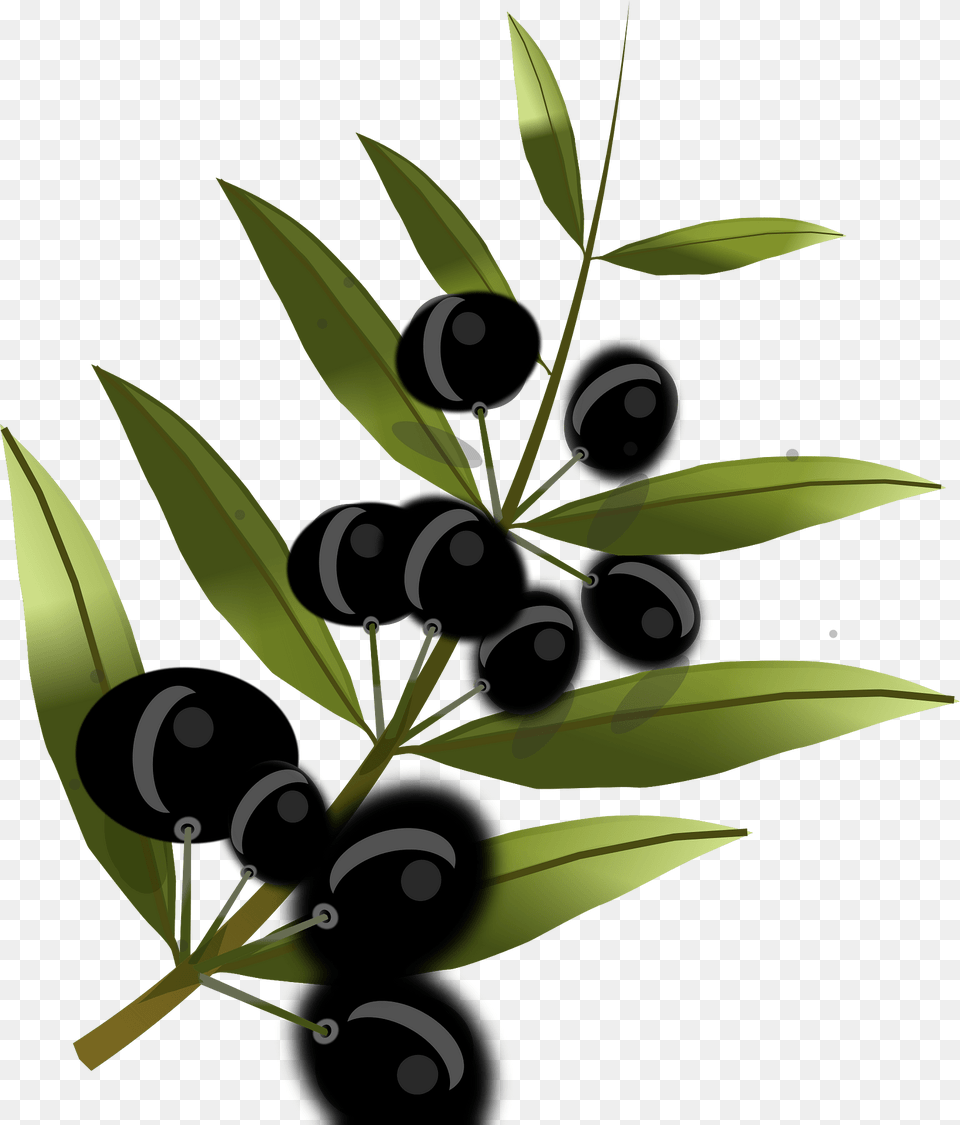 Olives Clipart, Food, Berry, Blueberry, Produce Free Png Download