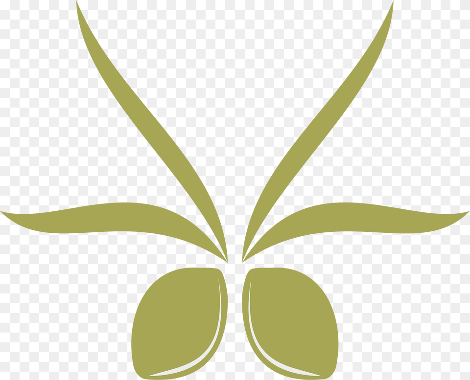 Olives Clipart, Pattern, Leaf, Plant, Green Free Transparent Png