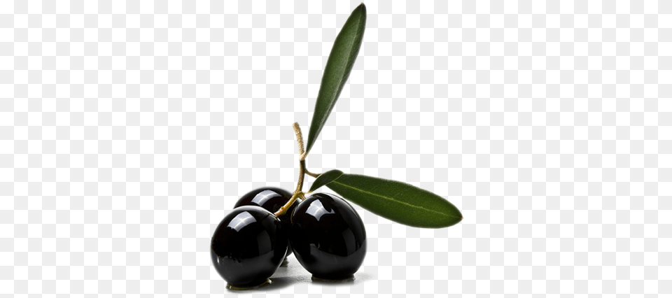 Olives Clipart Web Icons, Food, Fruit, Leaf, Plant Free Transparent Png