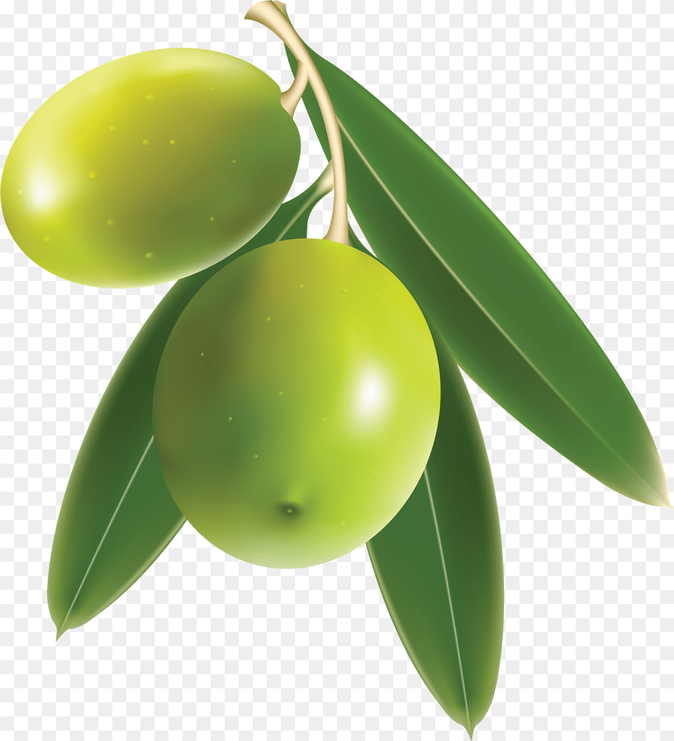 Olives Hd Transparent Hdpng Pluspng Olive, Food, Fruit, Leaf, Produce Free Png Download
