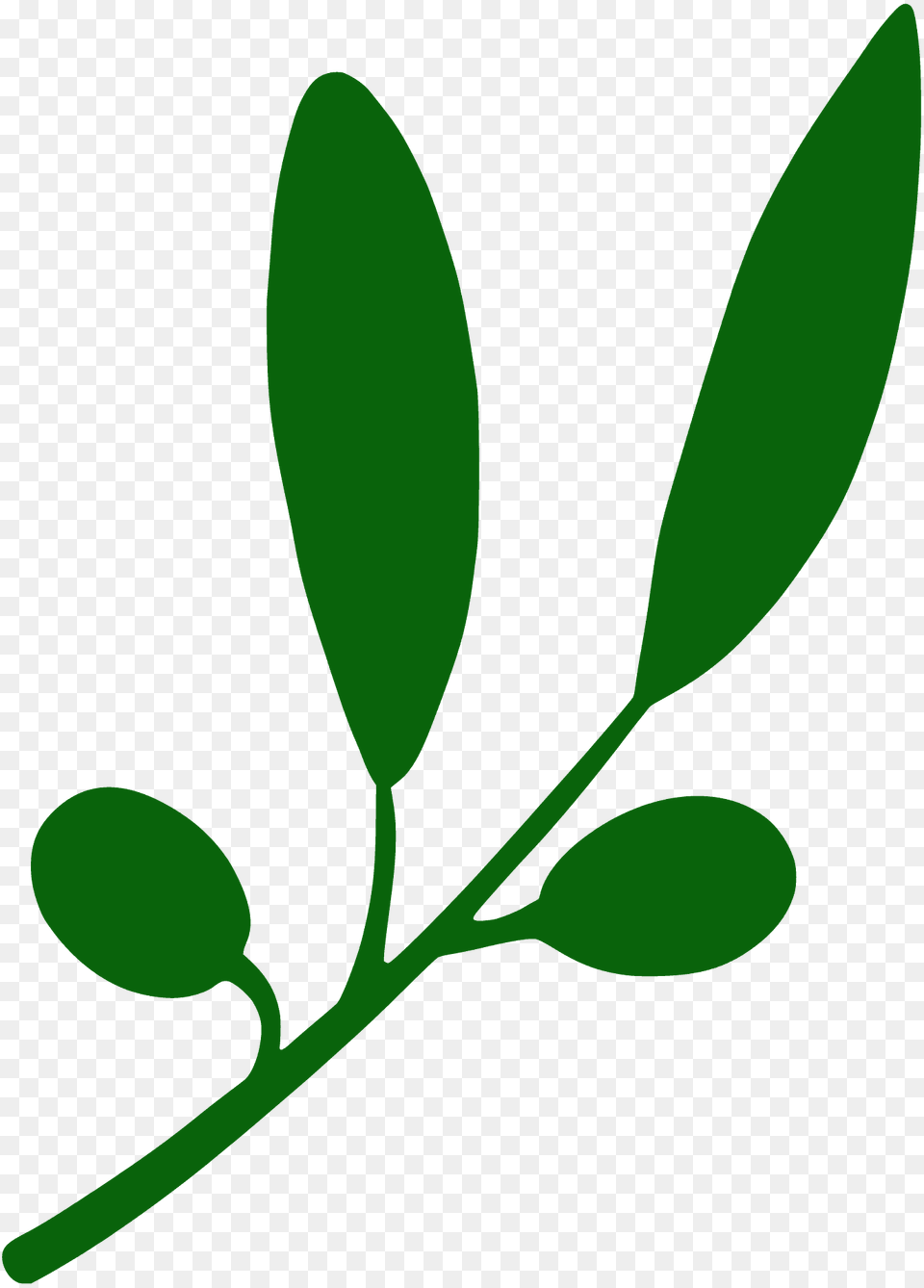 Olives On The Vine Silhouette, Herbal, Herbs, Leaf, Plant Free Transparent Png