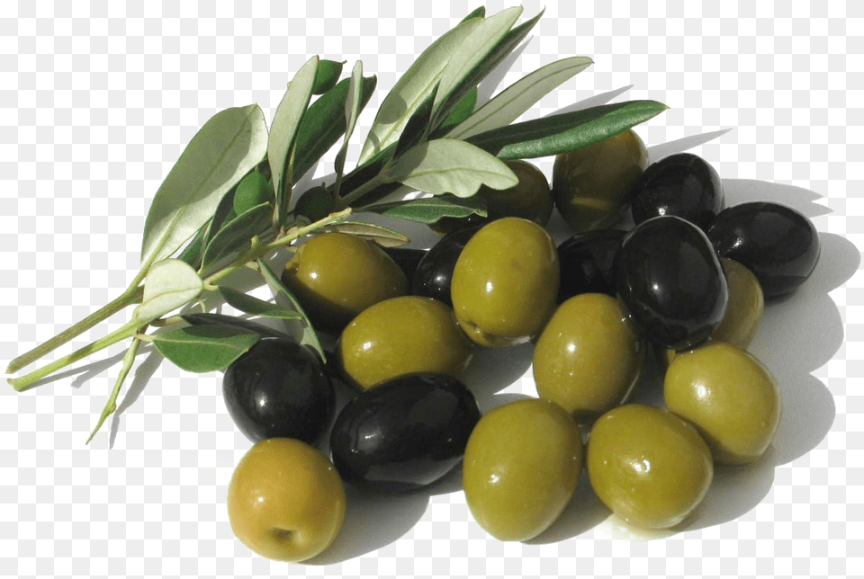 Olives Picture Green And Black Olives, Leaf, Plant, Food, Fruit Png