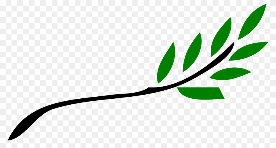 Olympic Stub, Green, Herbal, Herbs, Leaf Png Image