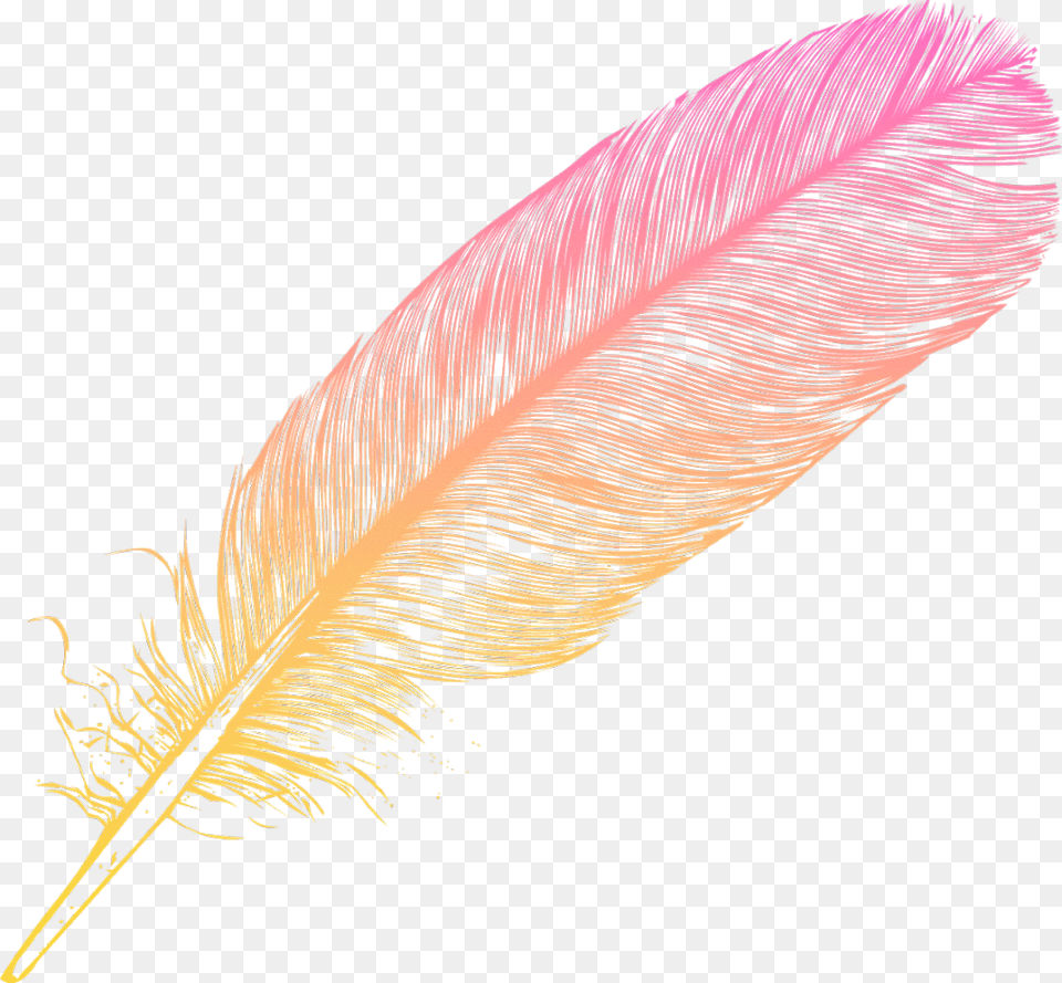 Ombre Feather Feathers Native Boho Pretty Decals Oval, Bottle, Accessories, Animal, Bird Free Png Download