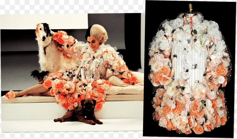 Ombred Silk Organza Decorated With Tulle And Silk Roses Glenn Close Cruella De Vil Costumes, Flower, Fashion, Flower Arrangement, Dress Free Png