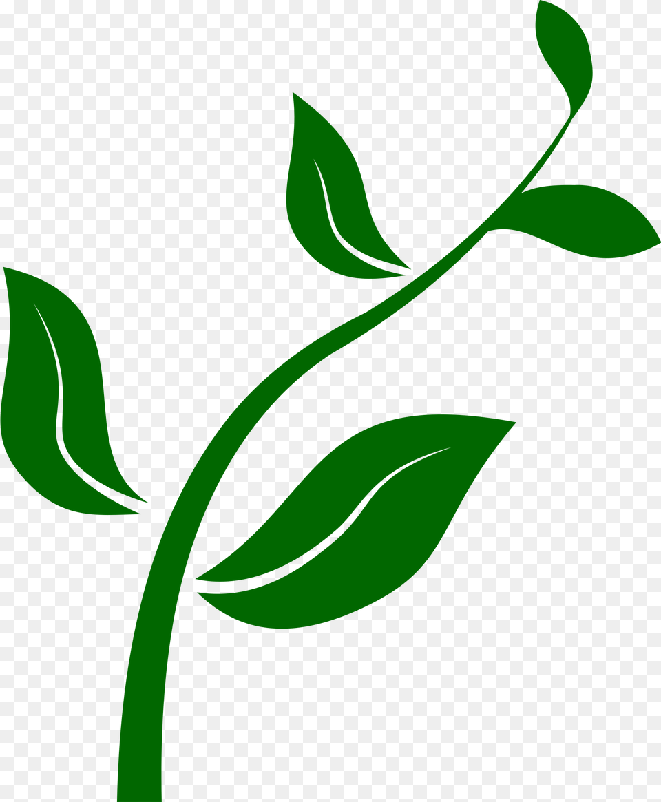 On A Stem Clipart, Art, Floral Design, Graphics, Green Png