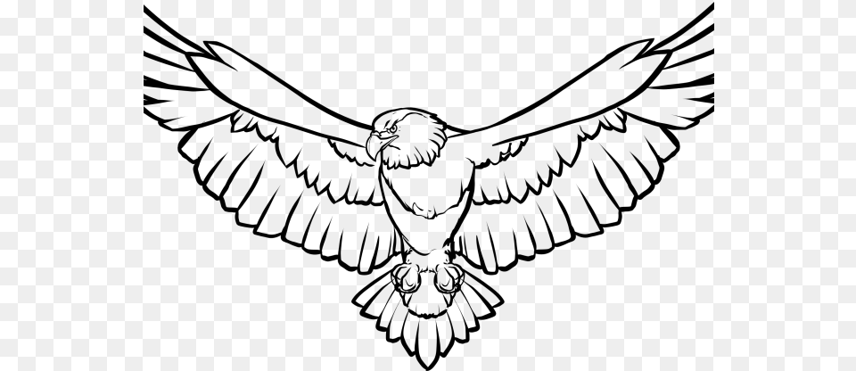 On Dumielauxepices Net Soaring Bald Eagle Clip Art Black And White, Gray Png